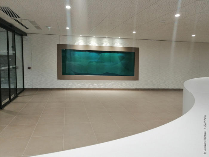 Art environnemental signé Guillaume Bottazzi  sur l'immeuble la Vague