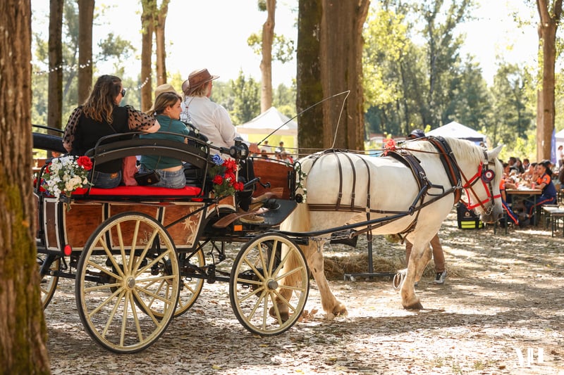 Le rallye des Cavalcades