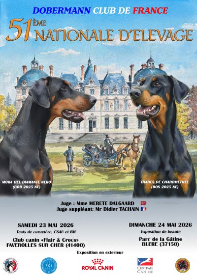 Exposition beauté nationale Dobermann France