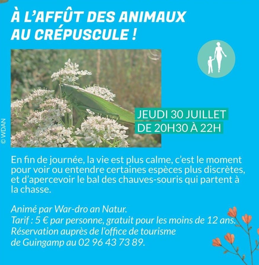 A l’affut des animaux au crépuscule !