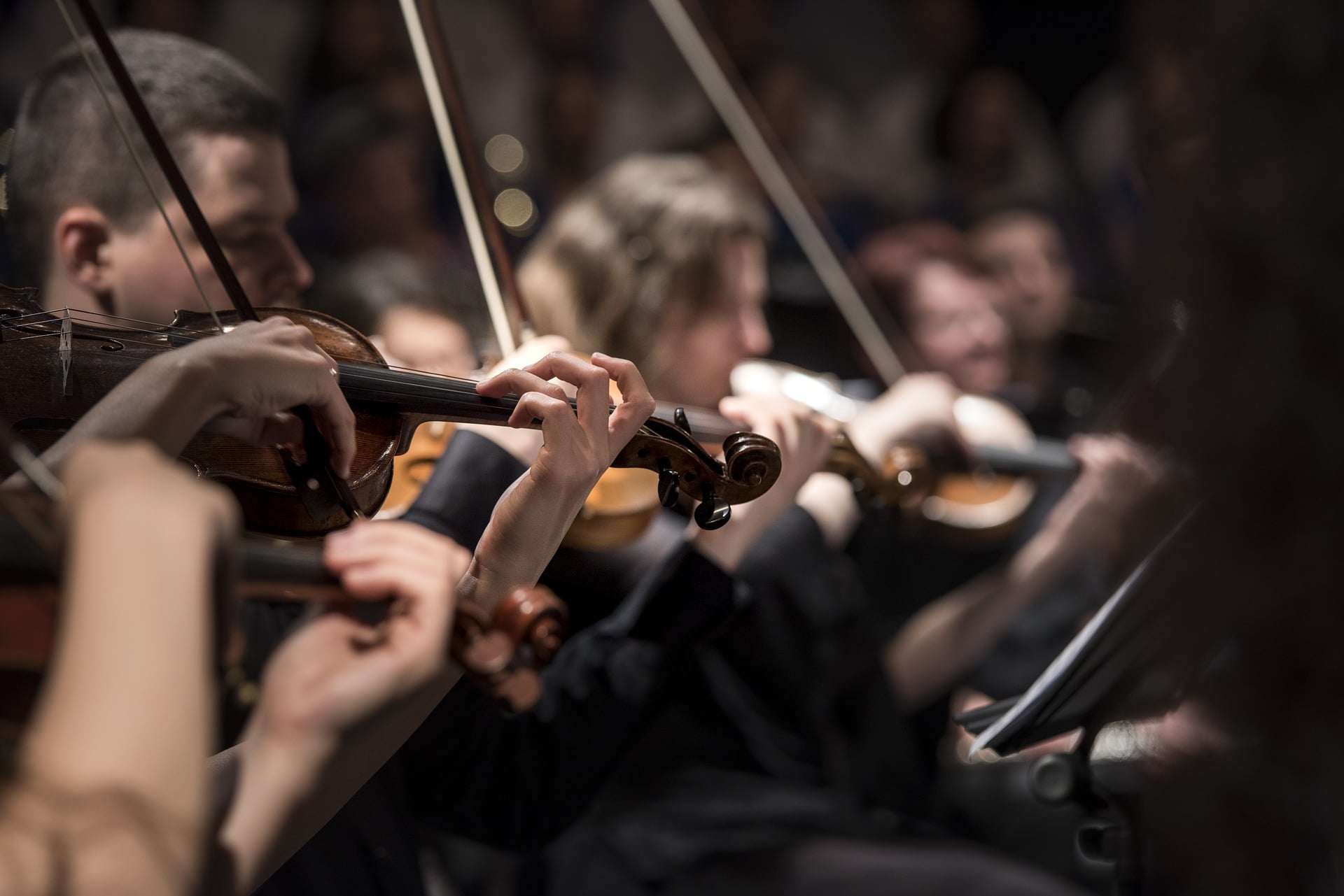 Musicales entre-Bois -Vaussais