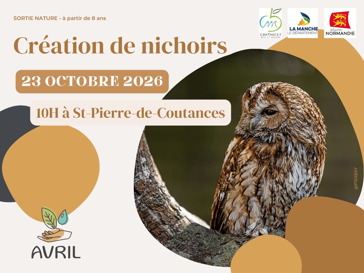Création de nichoirs