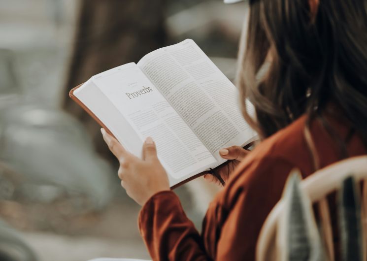 Lectures – Festival du livre du Haut Quercy
