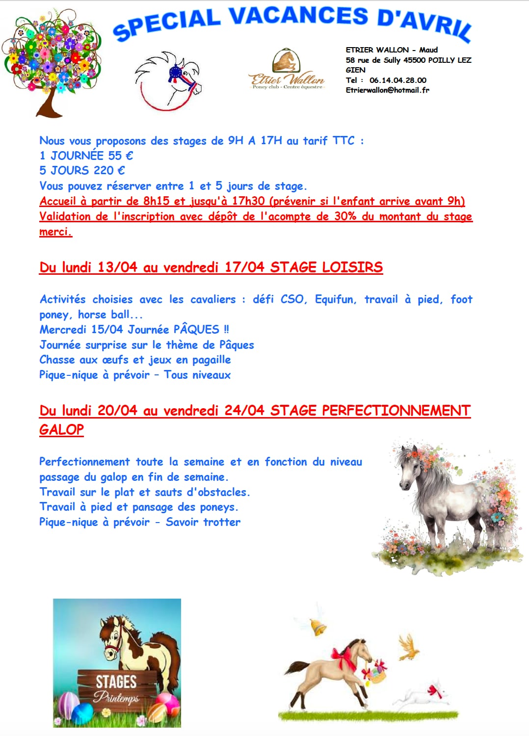 STAGE PERFECTIONNEMENT GALOP