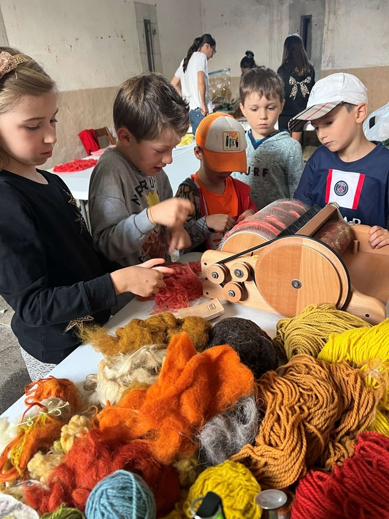 PARCC : atelier "découvrir la laine : initiation au feutrage", avec Natacha Sansoz