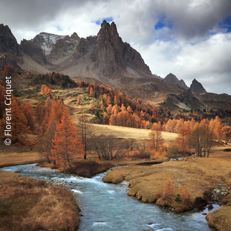 Exposition "La quête de la lumière"