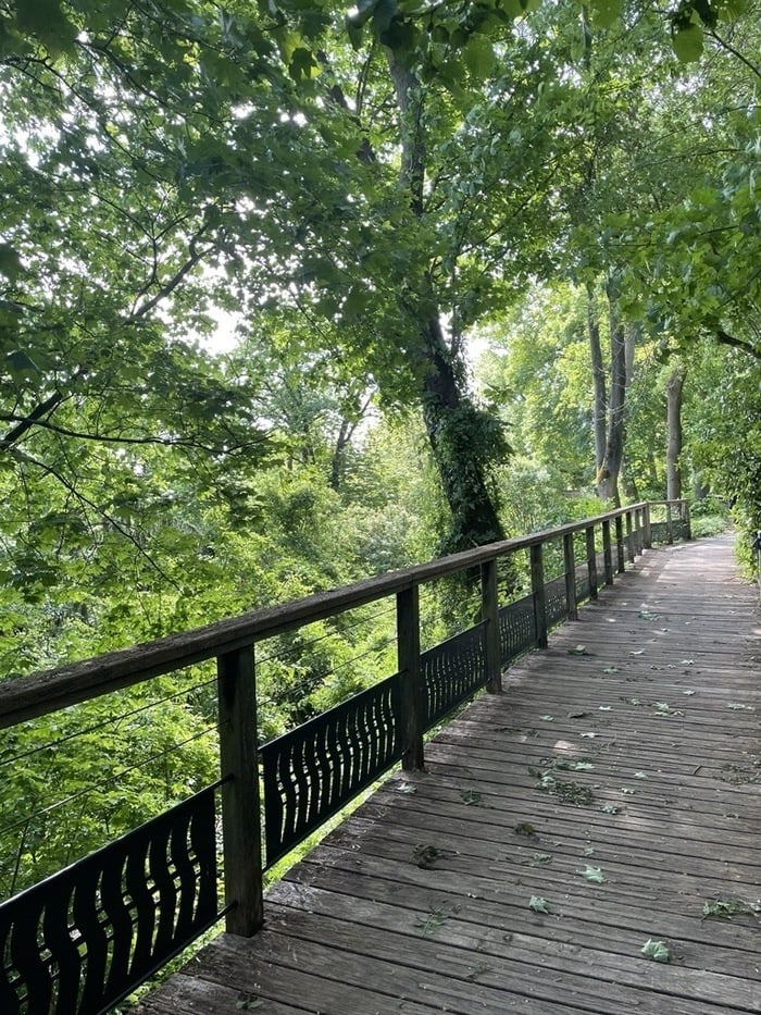 SEVRES - Balade naturaliste guidée : découverte du cycle de vie des oiseaux au parc de Brimborion