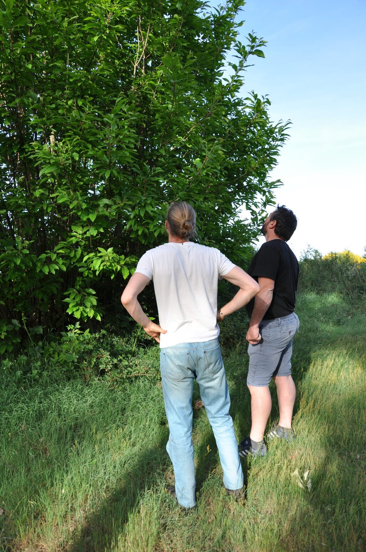 Visites et ateliers au coeur de la forêt comestible Arboraison