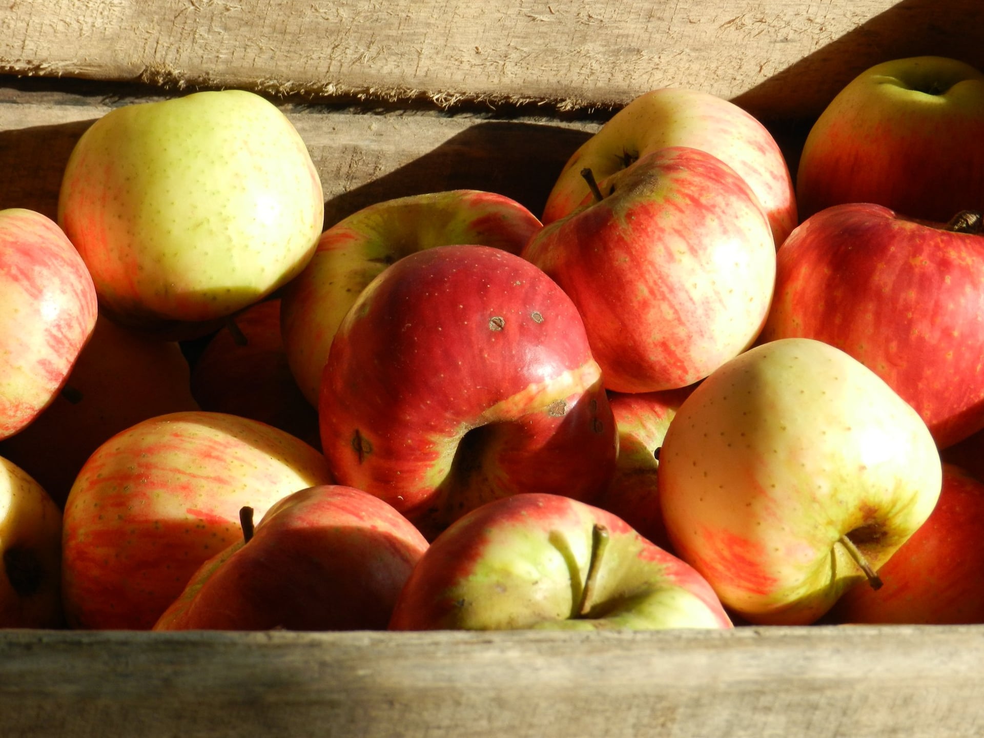 Marché hebdomadaire de la Ville-aux-Clercs