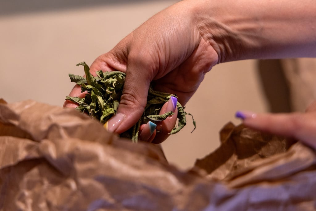 Découvrez les bienfaits des plantes sauvages - Juin