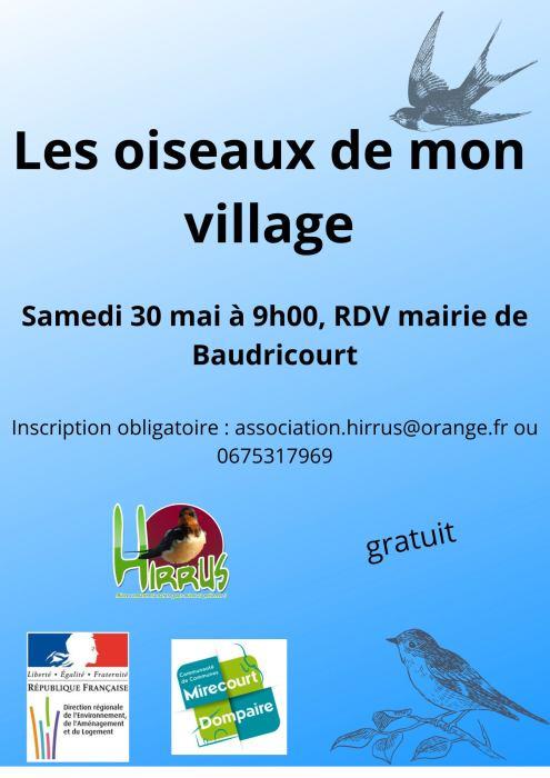 Les oiseaux de mon village
