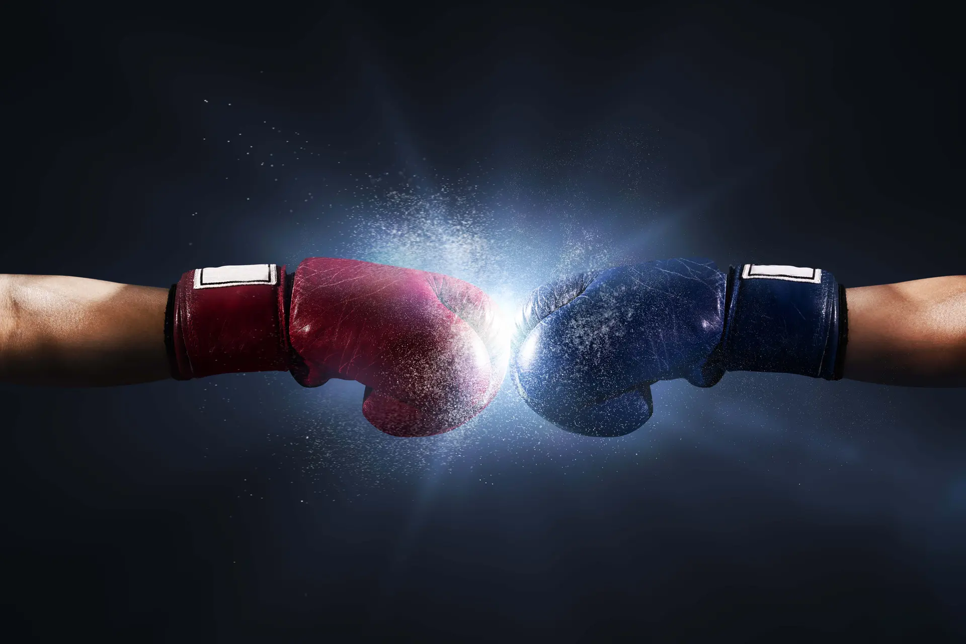 Gladiator's Boxing Series IV