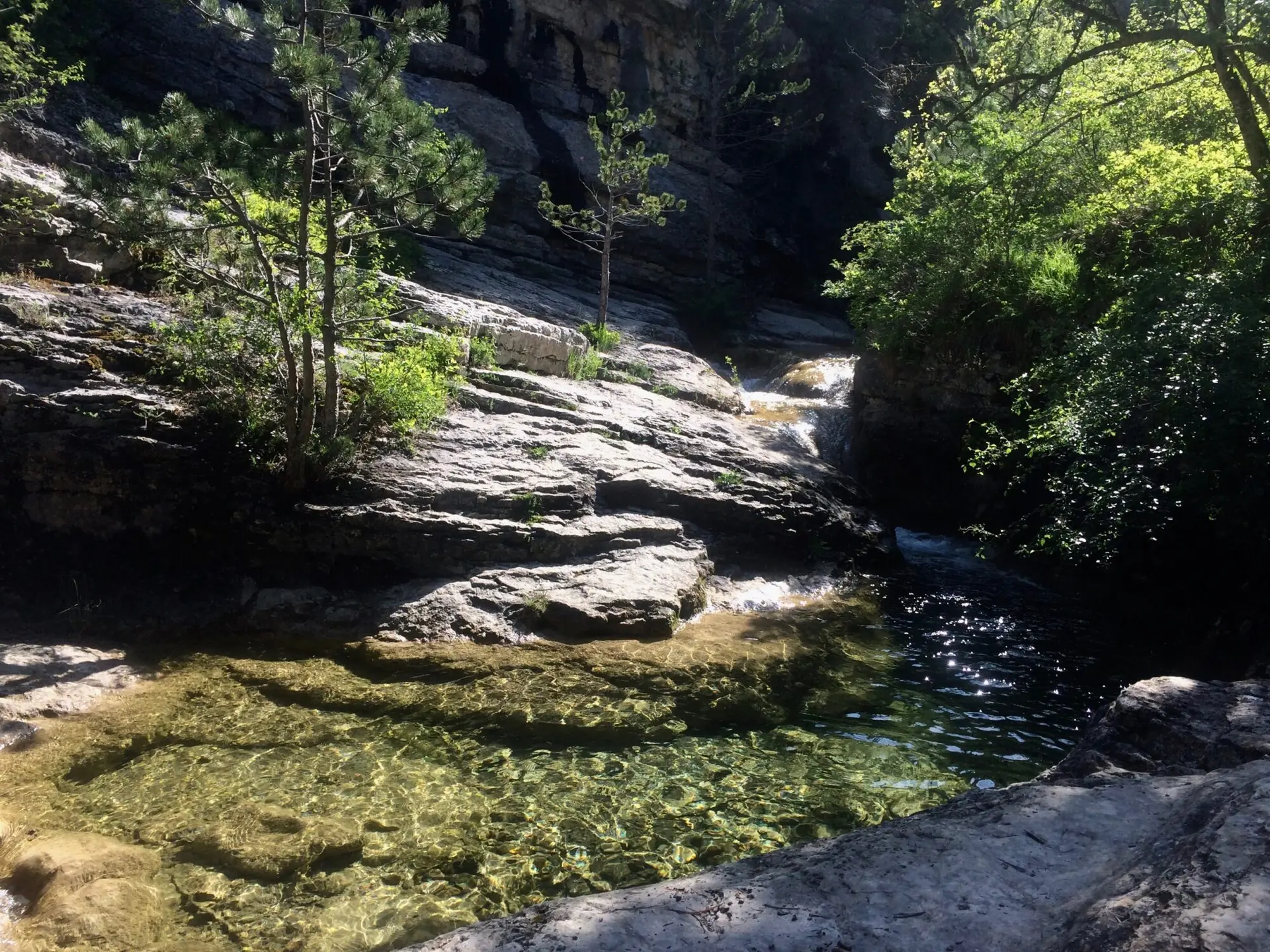 Rando au coucher du soleil dans les Gorges du Riou et observation des chamois - Autres Versants