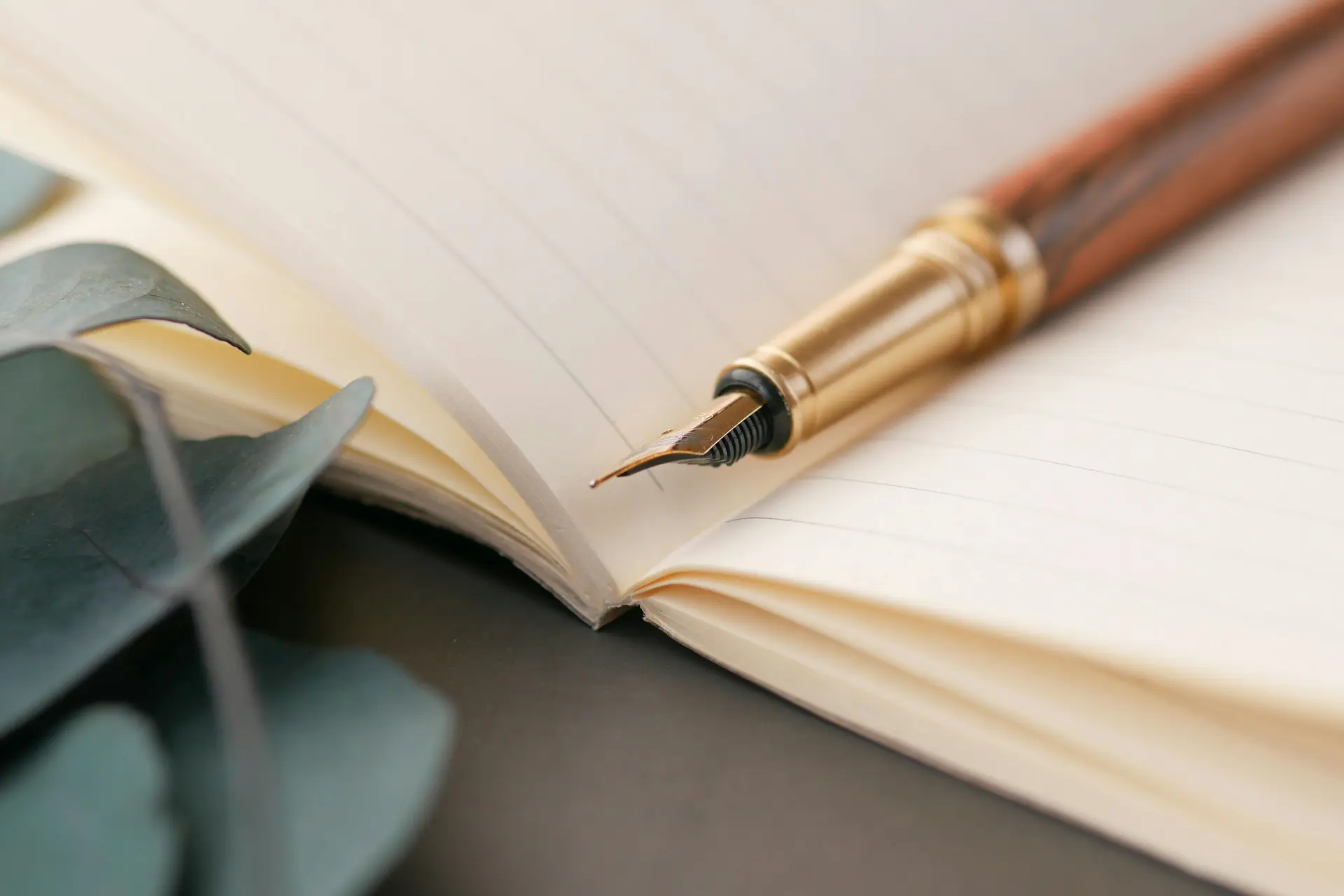 Atelier d'écriture : Ô delà des mots