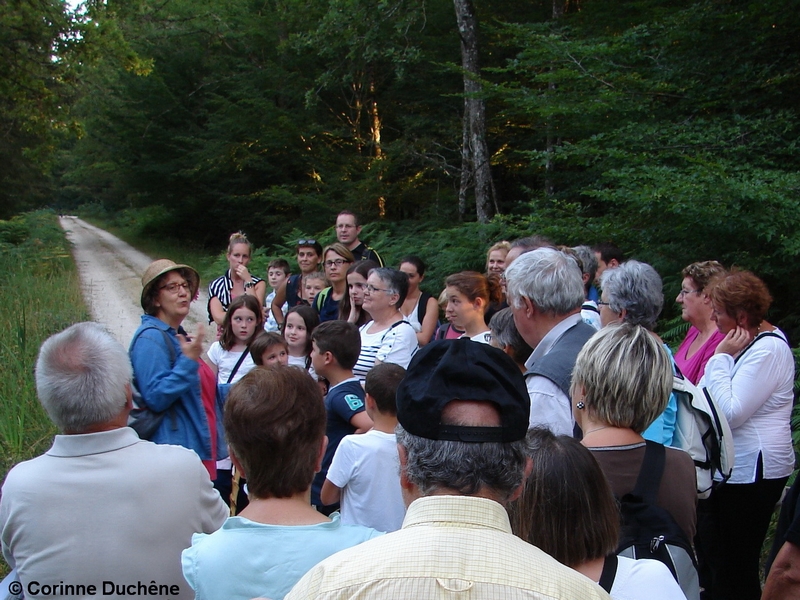 Balades contées en Val de Creuse  avec la conteuse Corinne Duchêne