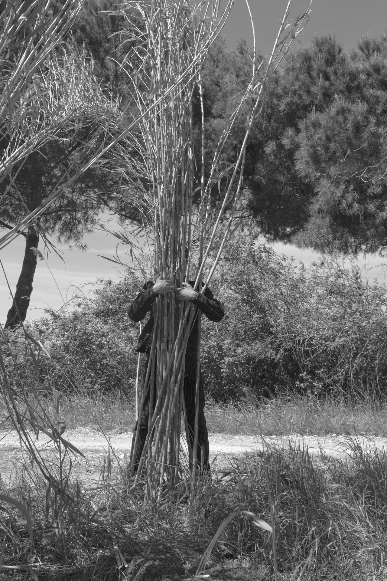 Exposition "Tisser Les Imaginaires"