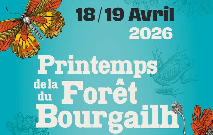 Printemps de la forêt du Bourgailh