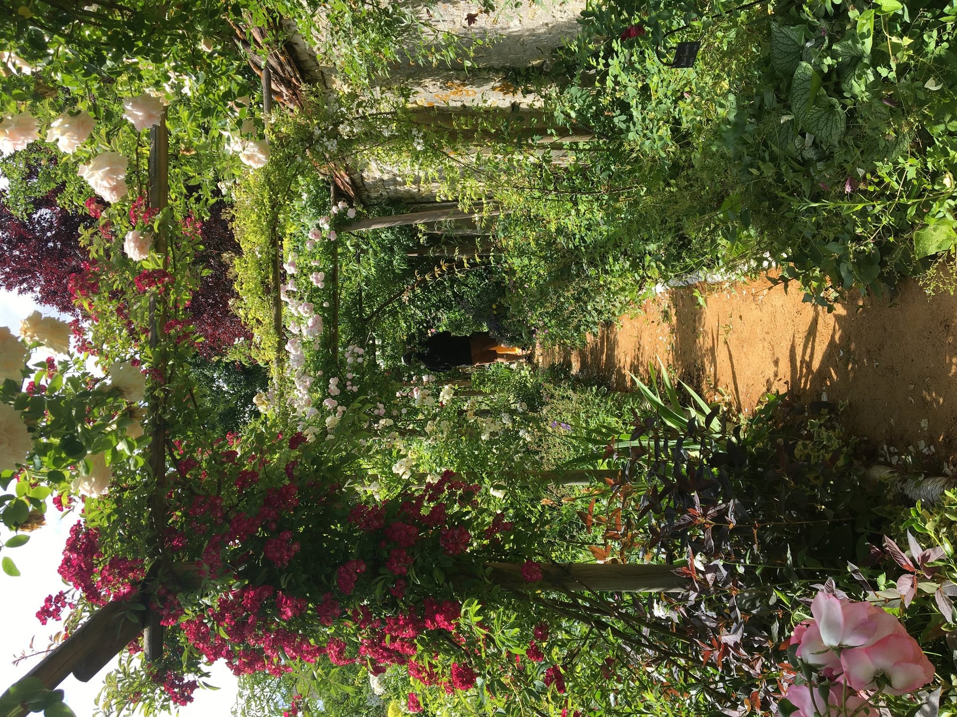 Atelier Entretenir les Vivaces