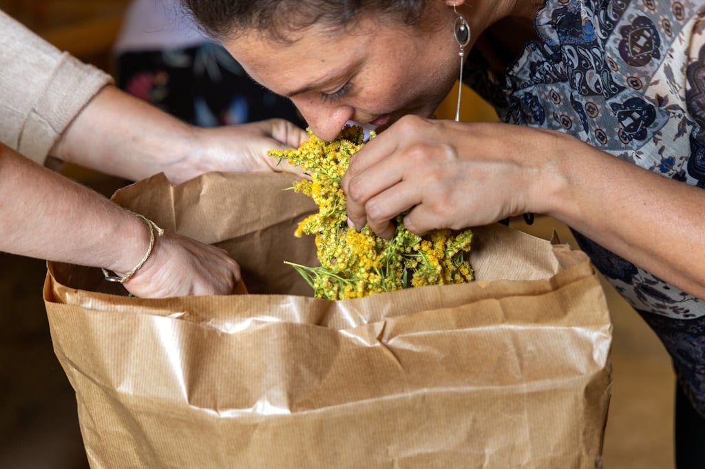 Découvrez les bienfaits des plantes sauvages - Juillet