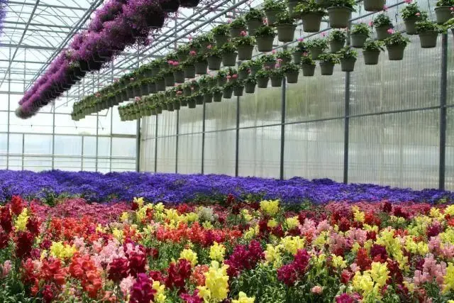 Visite guidée de l'exploitation horticole Valbray  #JEP2026