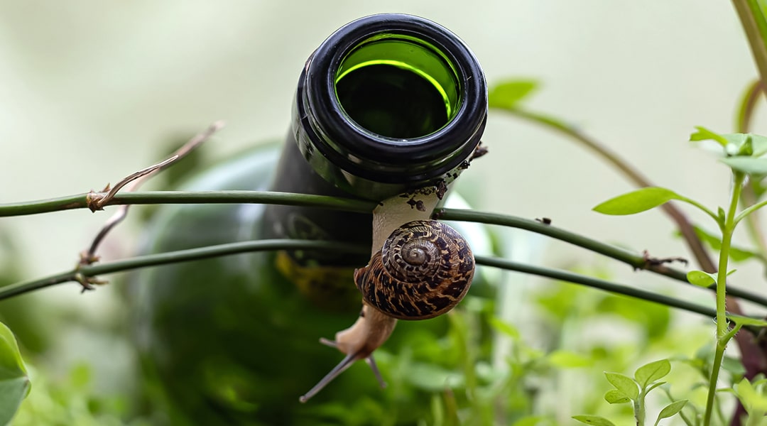 JEU DE PISTE "À LA DÉCOUVERTE DE LA BIODIVERSITÉ ET DES PAYSAGES DU PONT DU DIABLE" - FÊTE DE LA NATURE