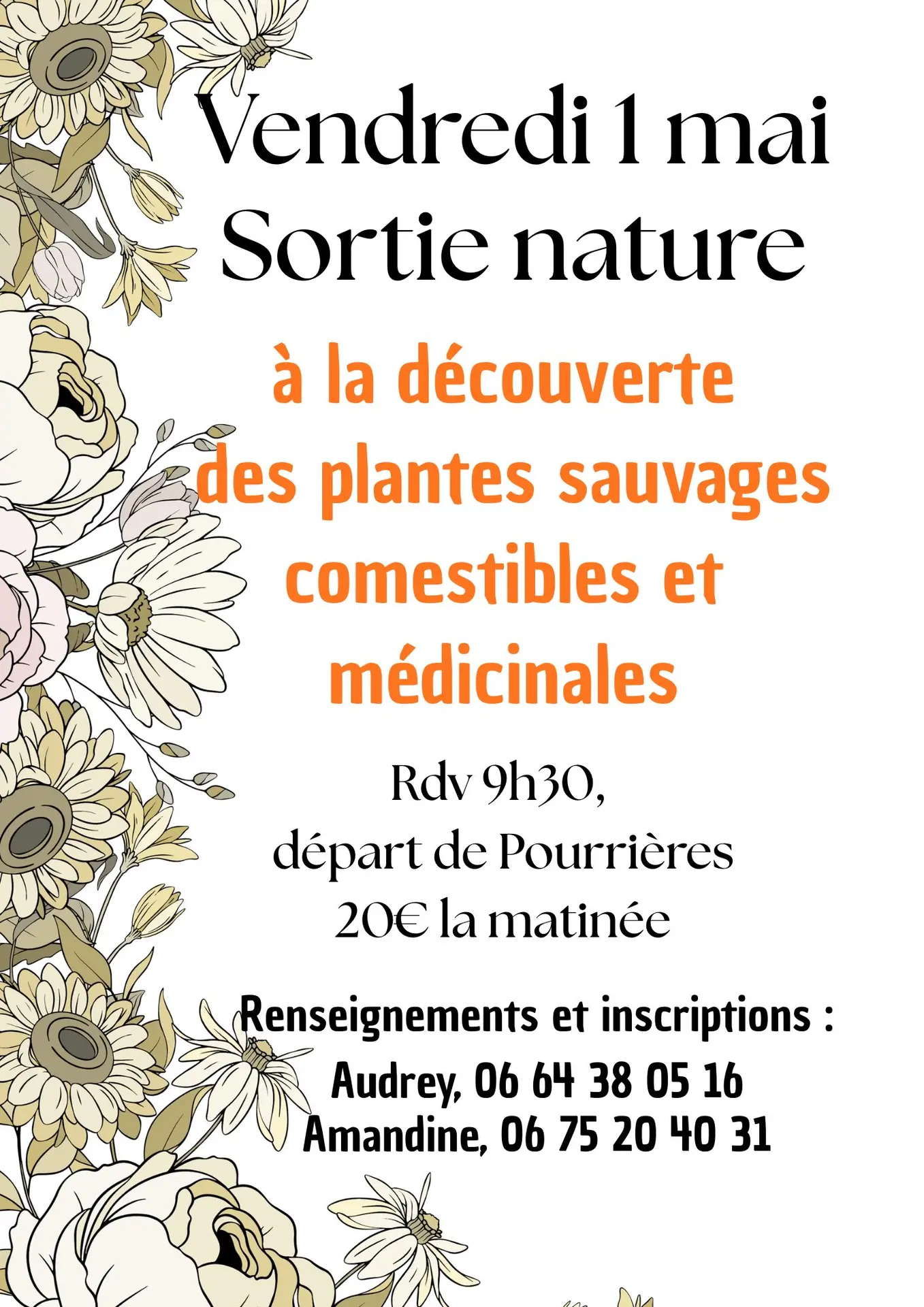 Sortie nature