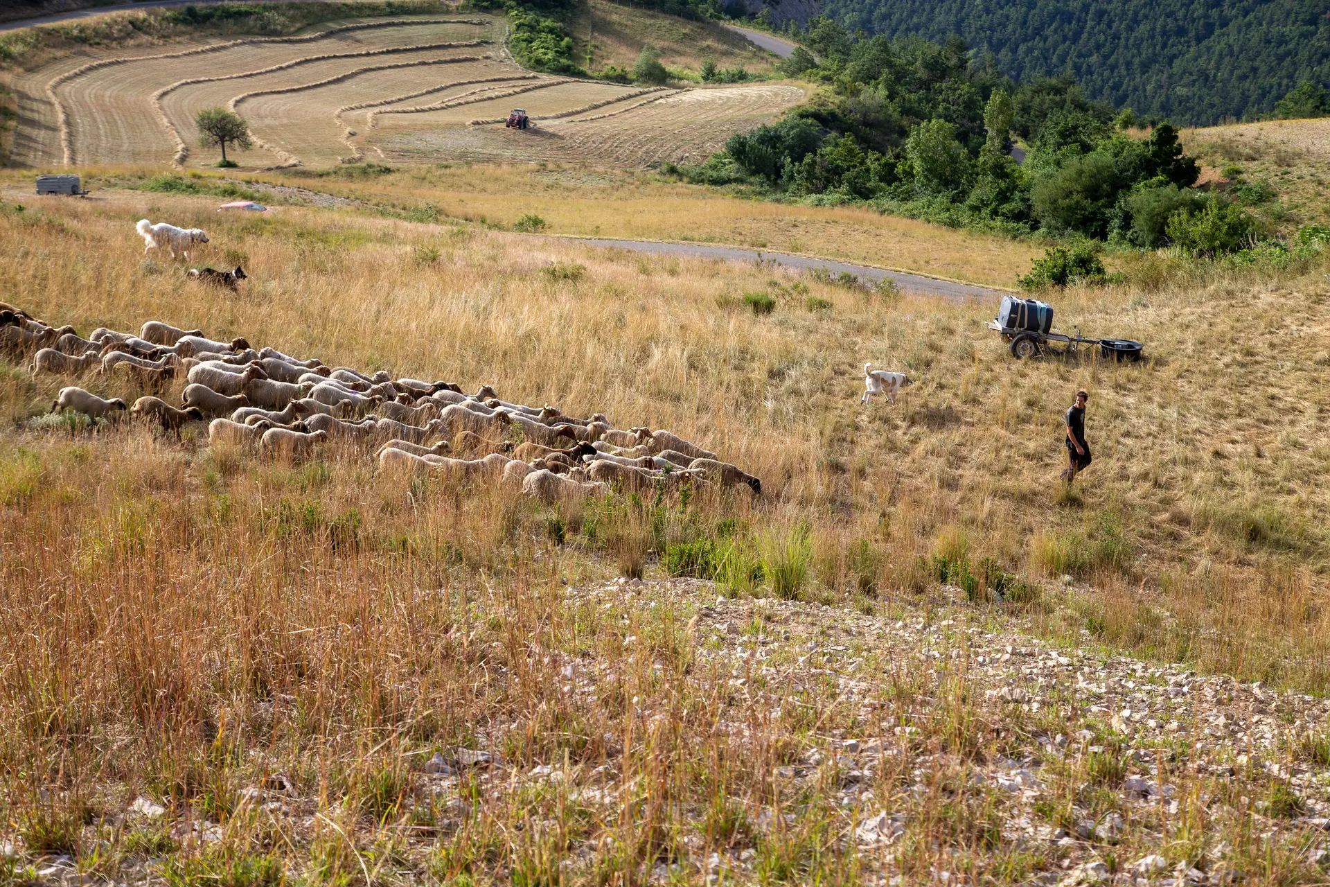 Médiation pastorale : visite de la Ferme des Sagnes