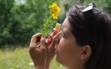 Demi-journée reconnaissance de plantes avec Anne MERRY