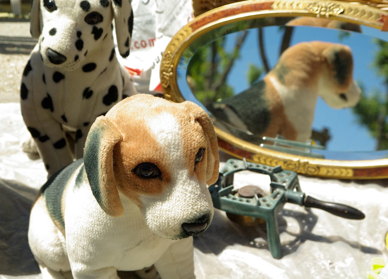 Fête patronale à Saint Saturnin