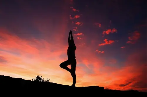 Yoga dans les vignes