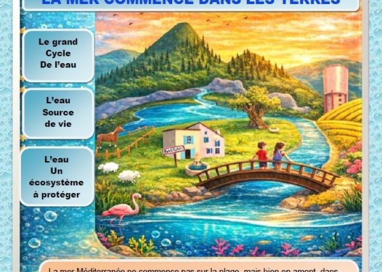 Exposition « La faune et la flore du bassin méditerranéen »