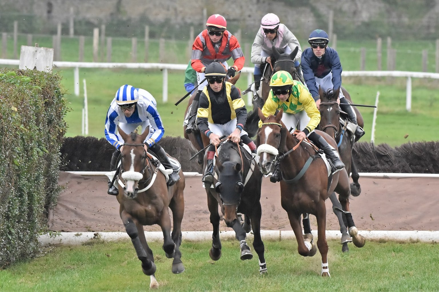 Courses hippiques - Tout galop semi-nocturne