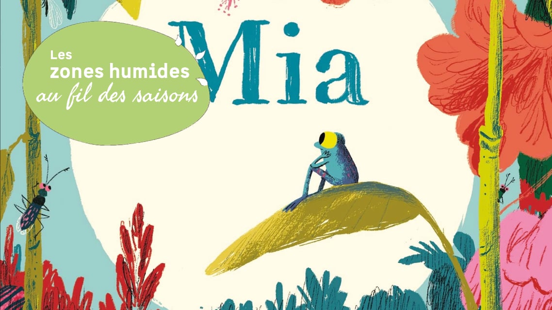 Les zones humides au fil des saisons : les petits déjs nature des enfants : grenouilles et Cie