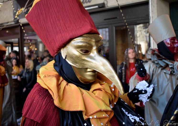 CARNAVAL DE LIMOUX 2027 – LES JOUVES ET LES LIMOUXINS