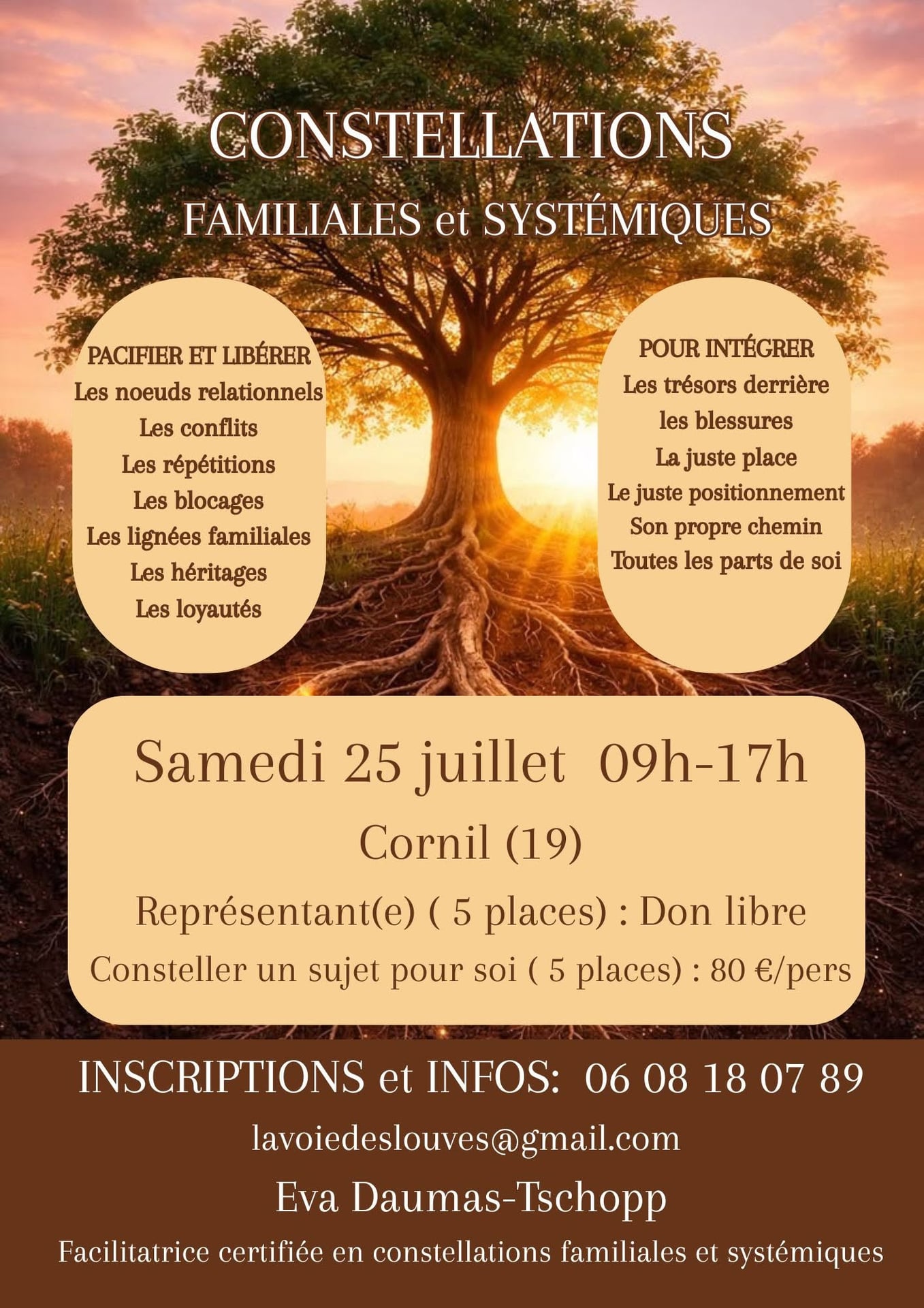 Le Battement d'Ailes : Journée de constellations familiales