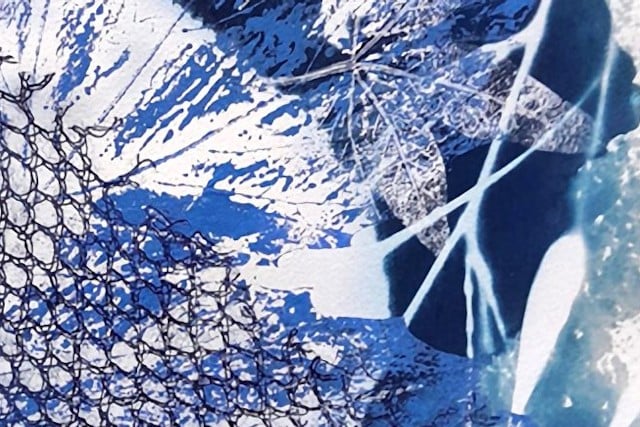Pratique artistique - Cyanotype avec Miss V