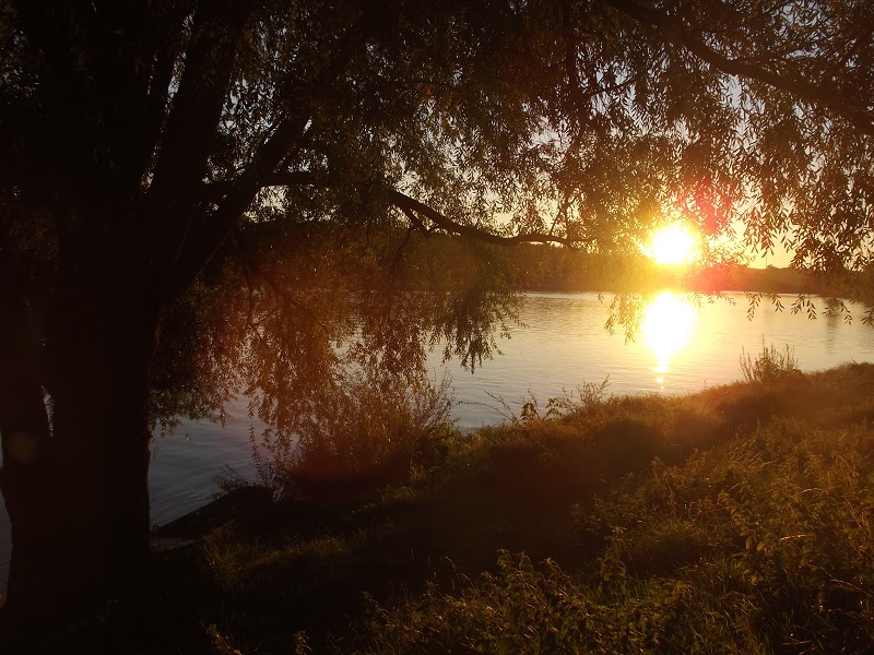 Matin d'été en bords de Loire