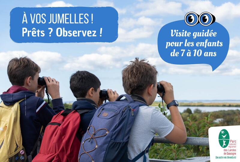 A vos jumelles, prêts? Observez!