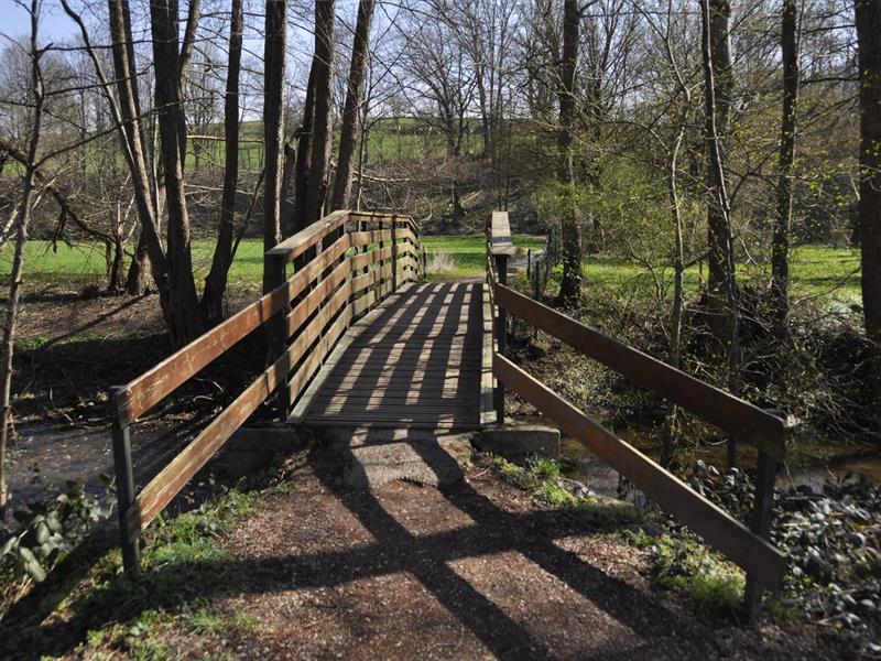 Les espaces du jardin