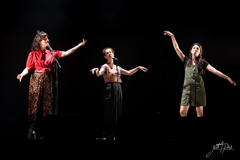 Musicalarue à Domicile avec Les Copines