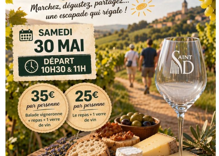 Balade vigneronne
