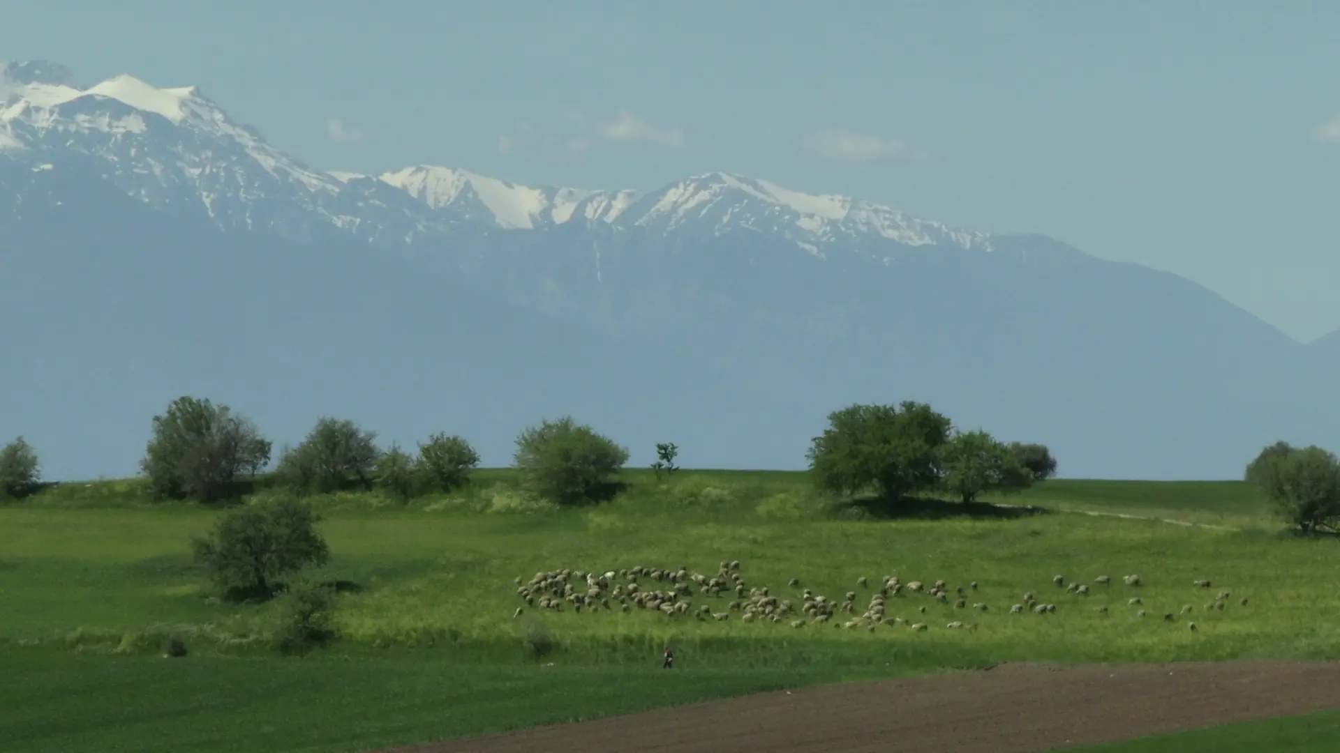 Étape de création Ludovic Hadjeras - Transhumance