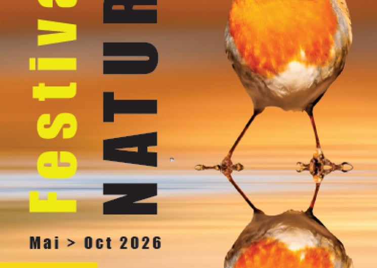 FESTIVAL NATURE
