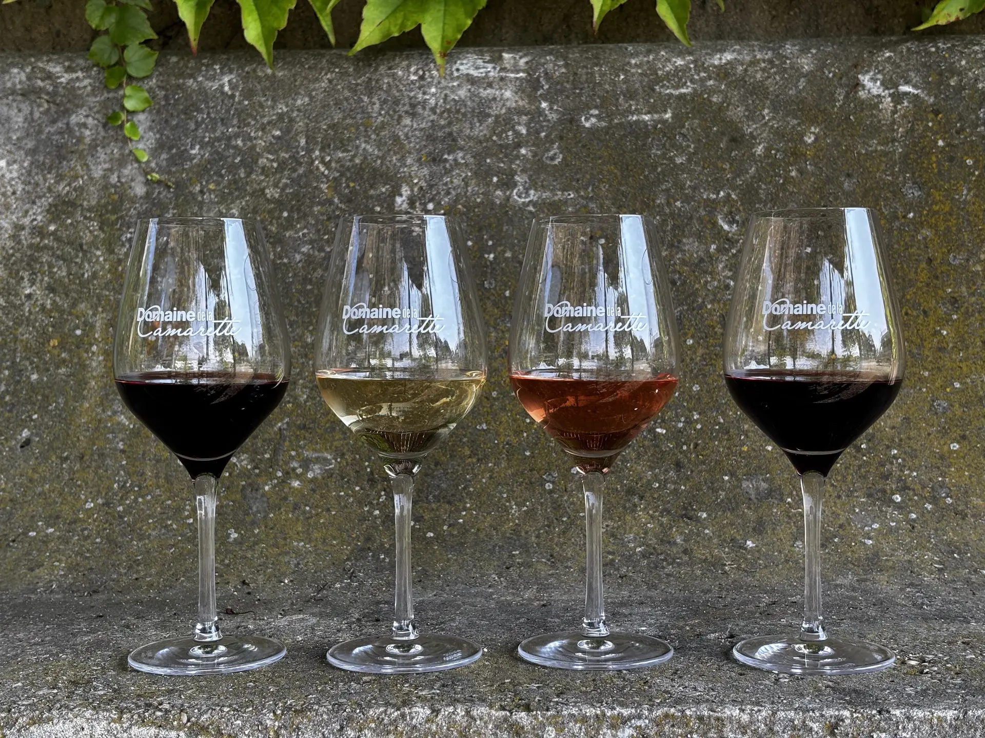 Atelier Assemblages des vins - Domaine de la Camarette