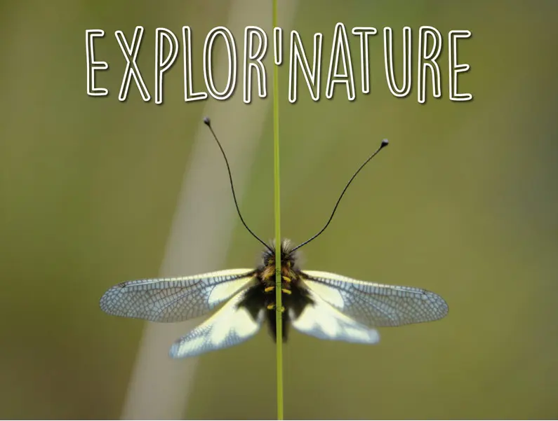 Explor'nature