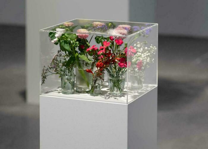 Exposition "Pollen" au CAPC de Bordeaux