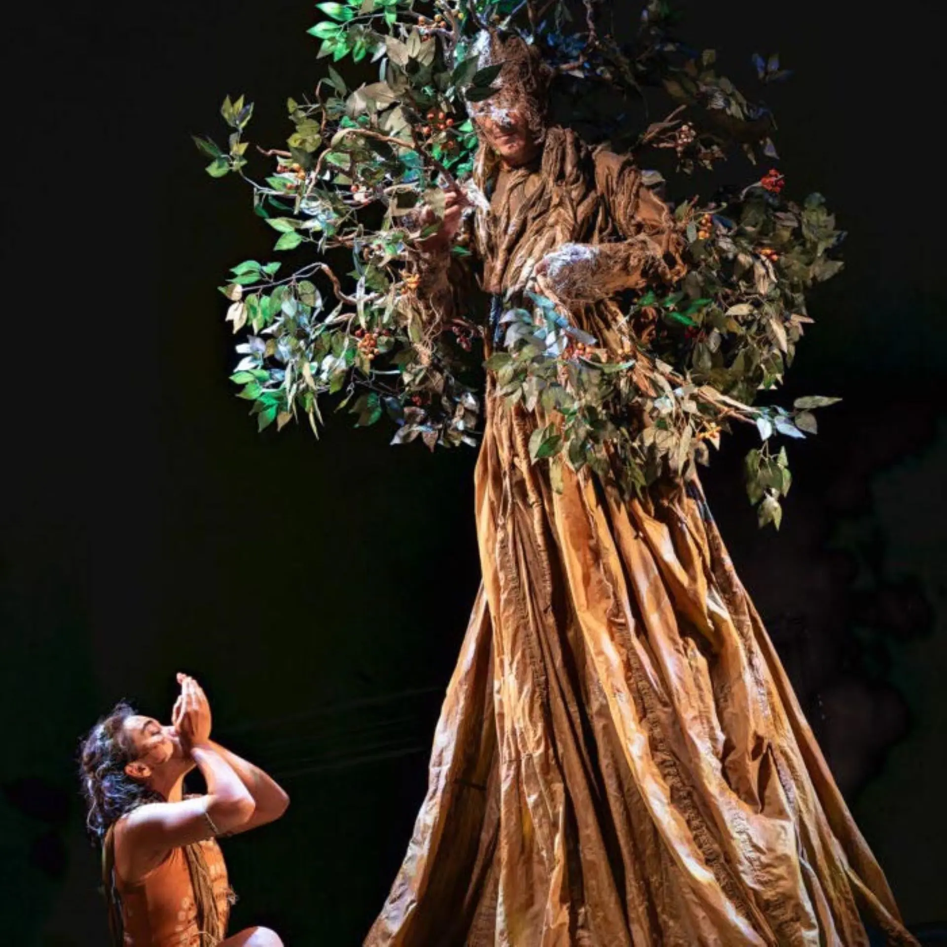 L'enfant de l'arbre
