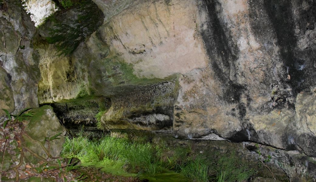 Mémoires de pierres - Blaye à Pré-Videau, il y a 35 millions d'années...