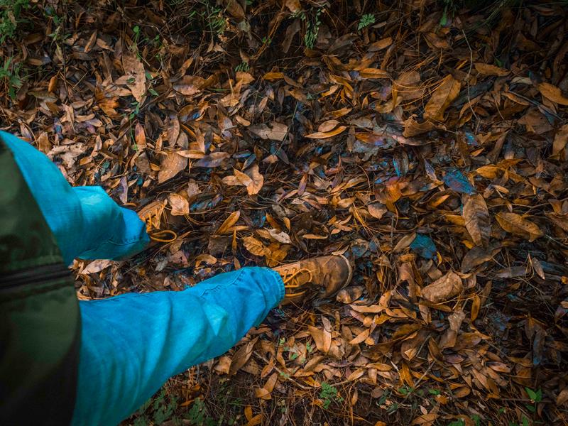 Marche de solidarité
