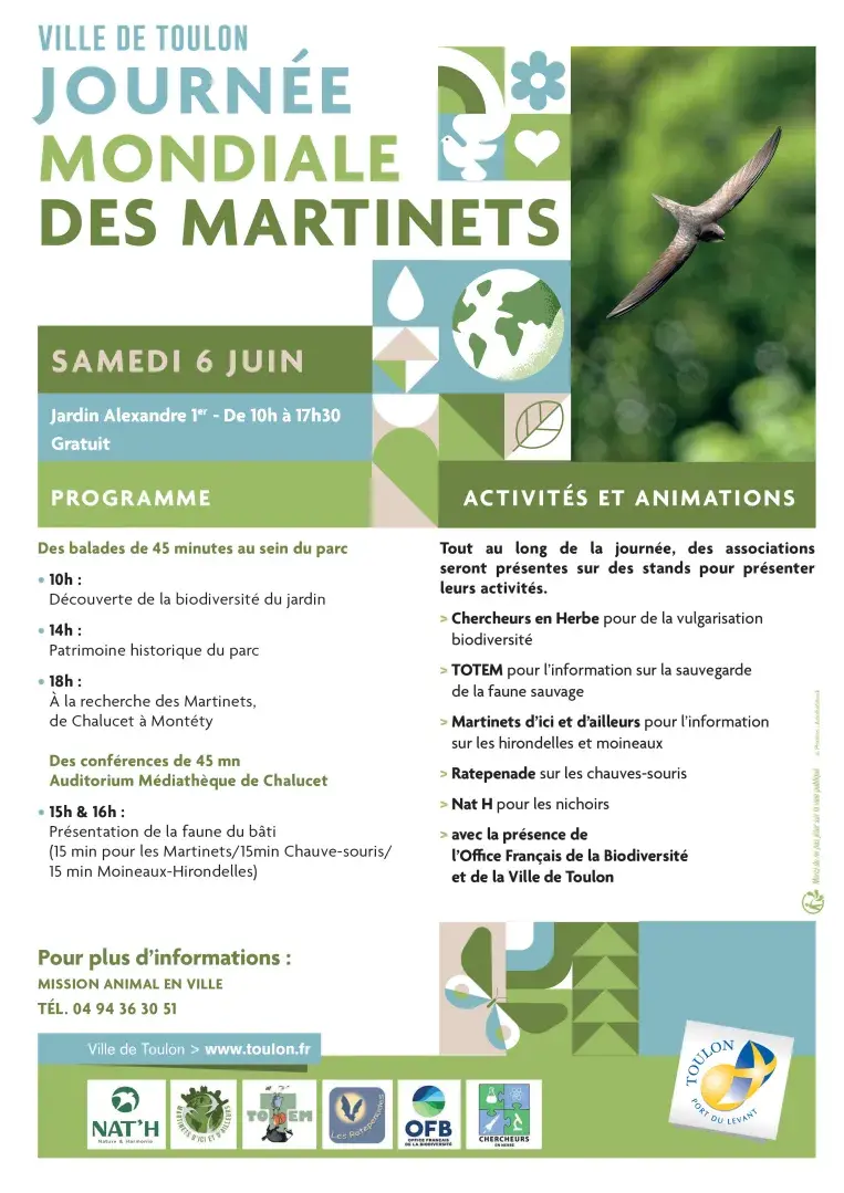 Balades "Journée mondiale des martinets" - Rendez-vous aux jardins 2026